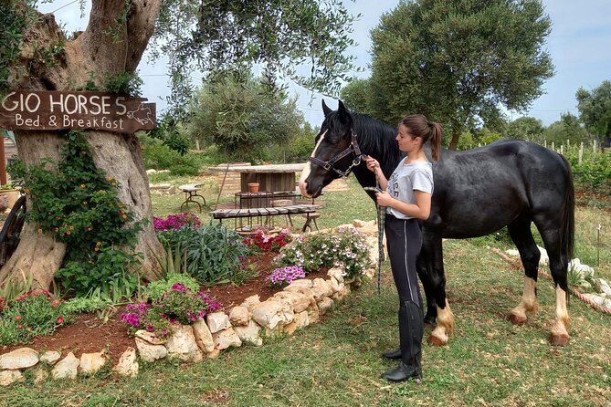 Horse riding in the Gargano National Park - What the one-hour length means for value