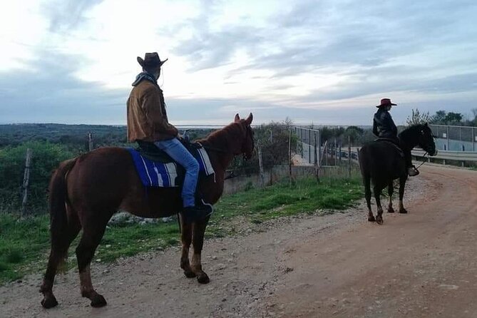 Horse riding in the Gargano National Park - Booking timing, weather, and cancellation