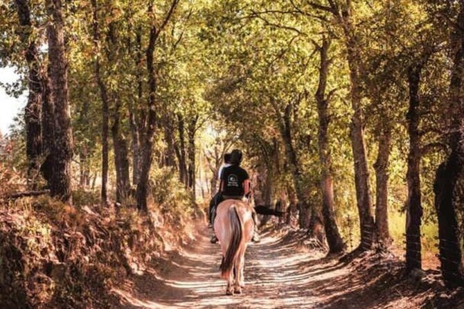 Horse riding in the vineyards of Grimaud + wine tasting - Arriving at Chemin de la Tour in Grimaud