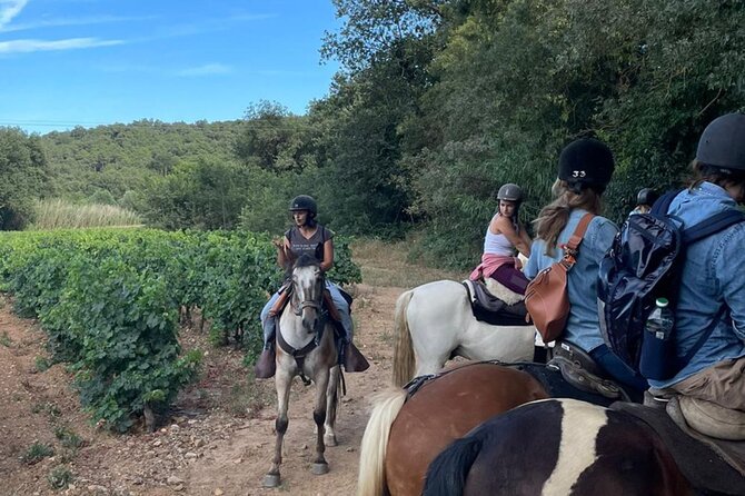 Horse riding in the vineyards of Grimaud + wine tasting - A family winery and a glass at the end