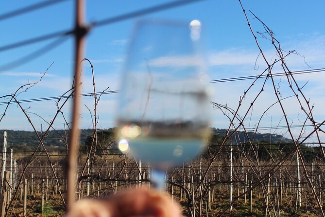 Horse riding in the vineyards of Grimaud + wine tasting - Getting comfortable with the horses