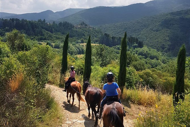 Horse Riding in Tuscany for Experienced Riders: Full-day Trail Ride - Key points at a glance