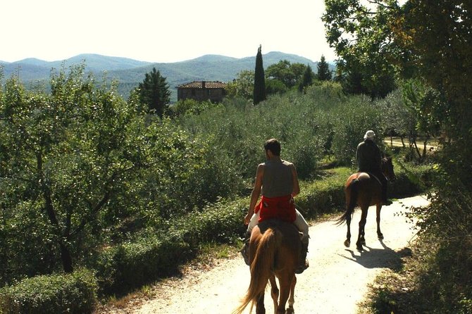 Horse Riding in Tuscany for Experienced Riders: Full-day Trail Ride - A full day in Tuscany on horseback