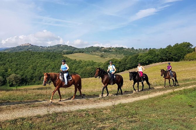 Horse Riding in Tuscany for Experienced Riders: Full-day Trail Ride - Who should book this ride?