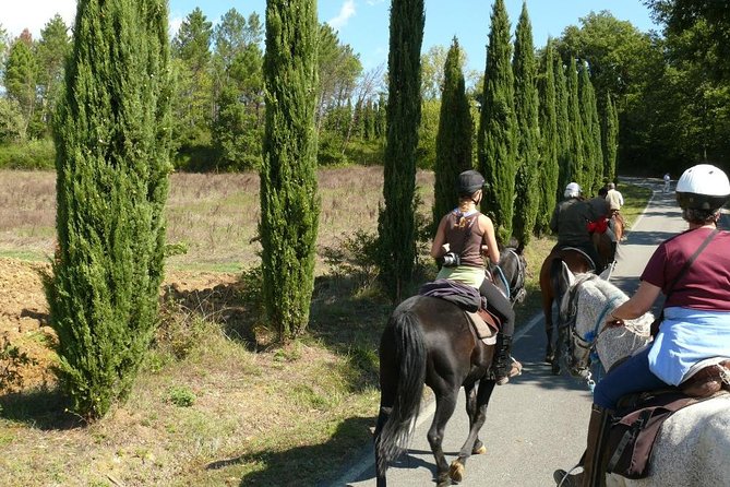 Horse Riding in Tuscany for Experienced Riders: Full-day Trail Ride - Why the route suits serious riders