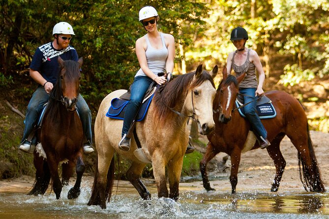 Horse Riding, Koalas & Kangaroos - Wild Australia: Private Tour - Key points to know before booking