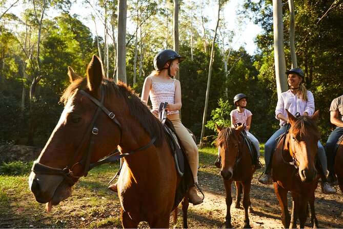 Horse Riding, Koalas & Kangaroos - Wild Australia: Private Tour - Two hours on horseback at Glenworth Valley