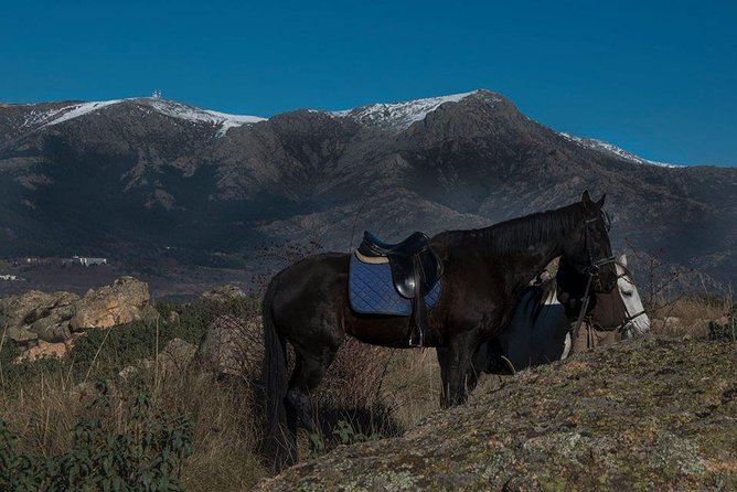 Horse Riding Madrid Natural Park - The Best Parts of the Scenery