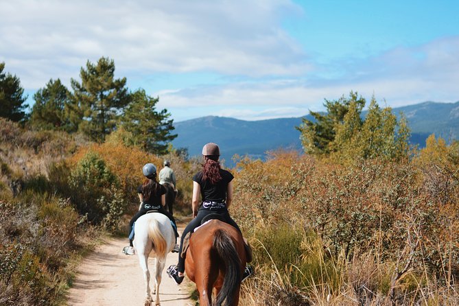 Horse Riding Madrid Natural Park - What to Bring and What to Expect