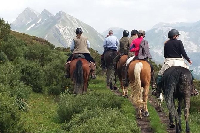 Horse Riding Madrid Natural Park (long Trip) - Key points at a glance