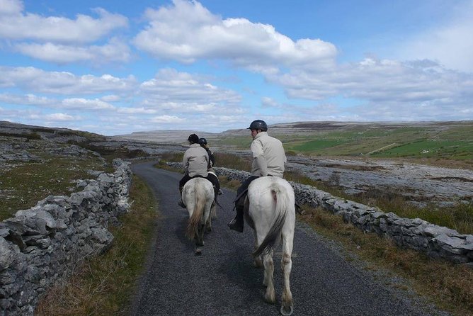 Horse riding - Mountain Trail. Lisdoonvarna, Co Clare. Guided. 2 hours. - Arriving at Mountain View Horse Riding Centre