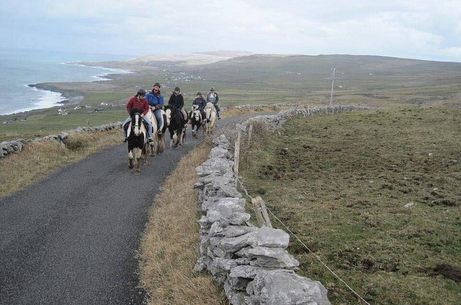 Horse riding - Mountain Trail. Lisdoonvarna, Co Clare. Guided. 2 hours. - Reaching the High Views Above the Atlantic