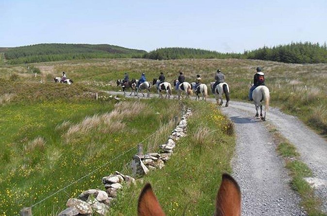 Horse riding - Mountain Trail. Lisdoonvarna, Co Clare. Guided. 2 hours. - Walking, Trotting, and Cantering at Your Pace