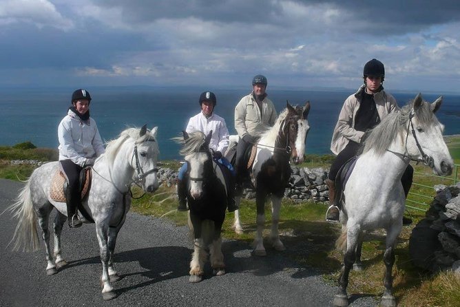 Horse riding - Mountain Trail. Lisdoonvarna, Co Clare. Guided. 2 hours. - The Horse Care Matters