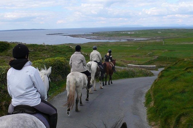 Horse riding - Mountain Trail. Lisdoonvarna, Co Clare. Guided. 2 hours. - Is Two Hours Enough for $181.92?
