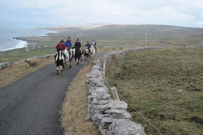 Horse riding - Mountain Trail. Lisdoonvarna, Co Clare. Guided. 2 hours. - Who Should Book This Ride?