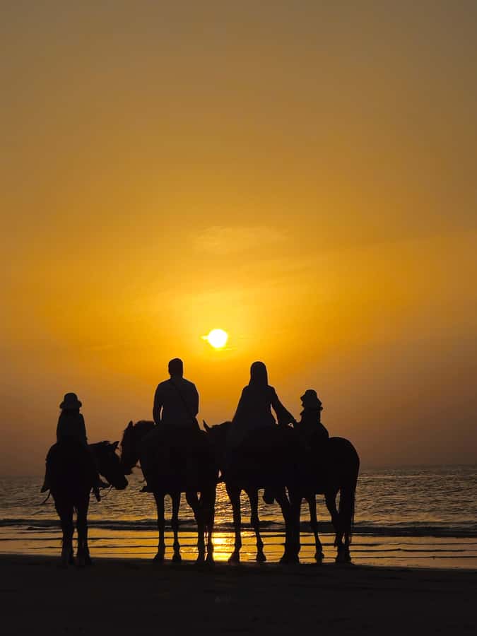 Horse Riding Muscat | Beach Horse Riding - What makes this beach ride worth your time