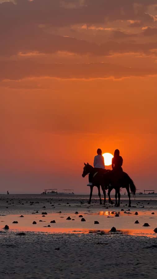 Horse Riding Muscat | Beach Horse Riding - A Gulf of Oman ride, close to Muscat