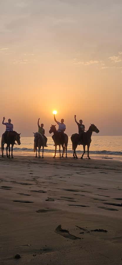 Horse Riding Muscat | Beach Horse Riding - The one-hour ride along Al Sawadi Beach