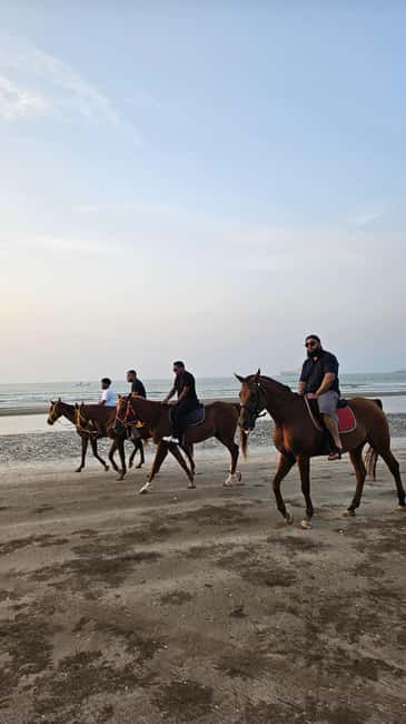 Horse Riding Muscat | Beach Horse Riding - The guide support and photo service