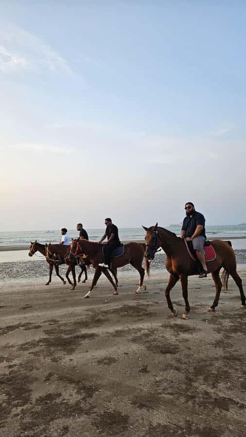 Horse Riding Muscat | Beach Horse Riding - Is $58 a fair price?