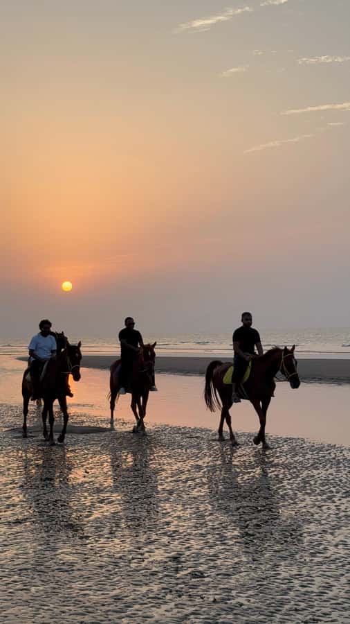 Horse Riding Muscat | Beach Horse Riding - Who will enjoy this most?