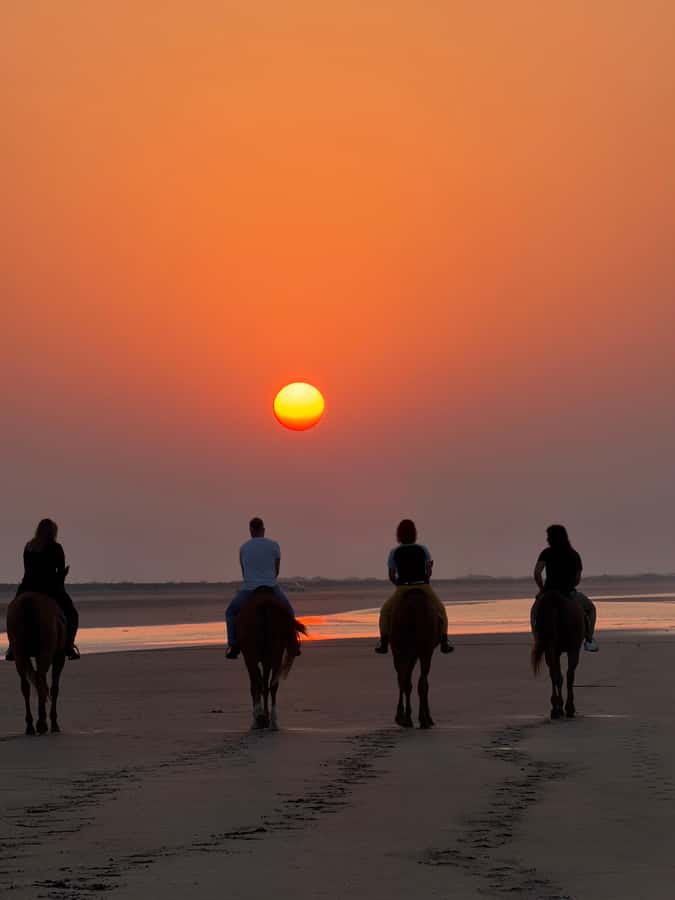 Horse Riding Muscat | Beach Horse Riding - Booking flexibility and limits
