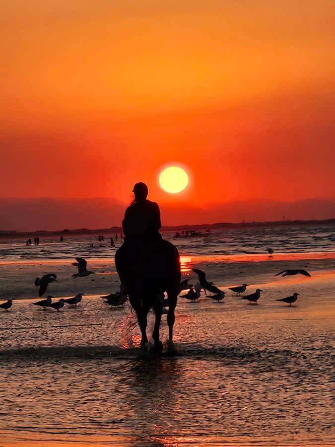 Horse Riding Oman - 2 hour ride - Key points to know before you book
