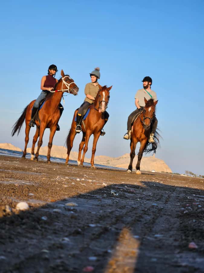 Horse Riding Oman - 2 hour ride - Two hours along the coast, at a pace that fits you