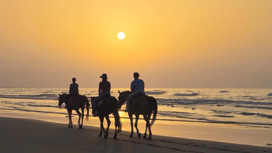 Horse Riding Oman - 2 hour ride - The instructors make a real difference