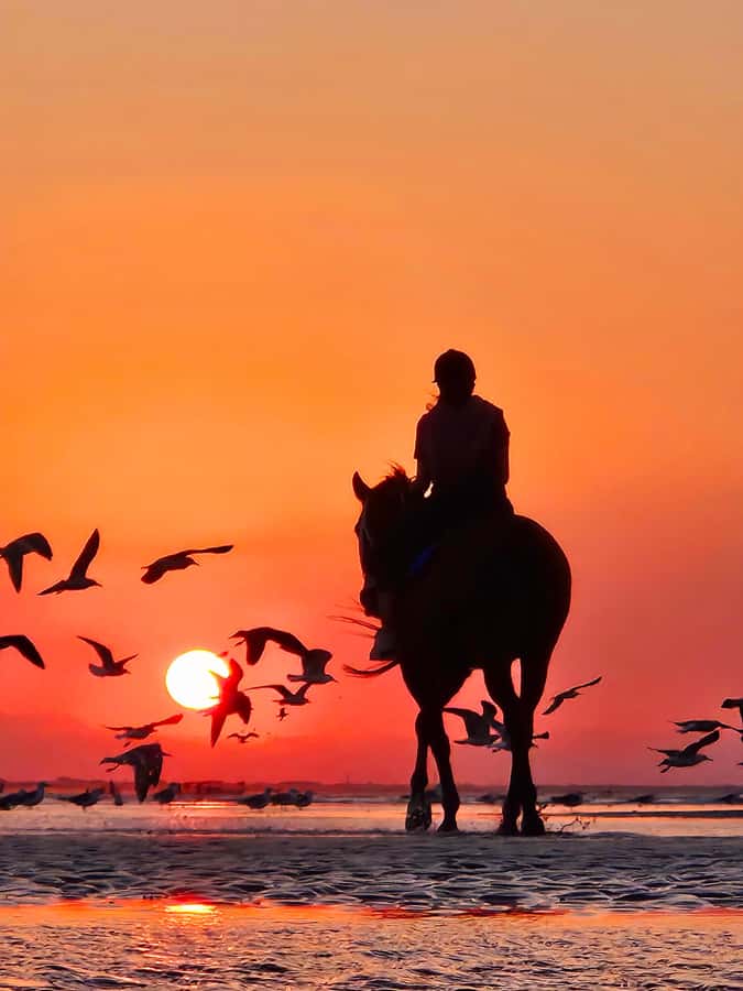 Horse Riding Oman - 2 hour ride - What the $140 price includes