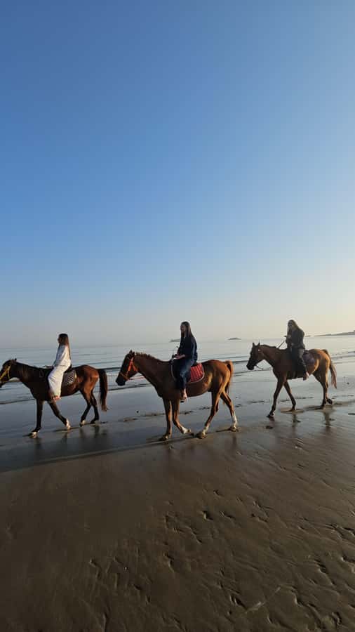 Horse Riding Oman - 2 hour ride - What to bring, and what to leave behind