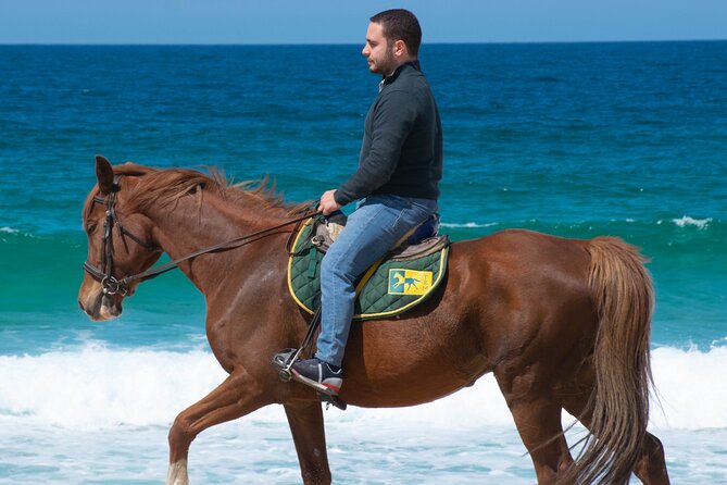 Horse Riding on Melides Beach - Key details before you book