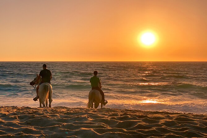 Horse Riding on Melides Beach - From the Melides meeting point into the Atlantic Forest