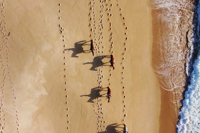 Horse Riding on Melides Beach - Small details that can make the ride better