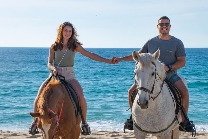 Horse Riding on Melides Beach - Calm horses and a guide who works with beginners