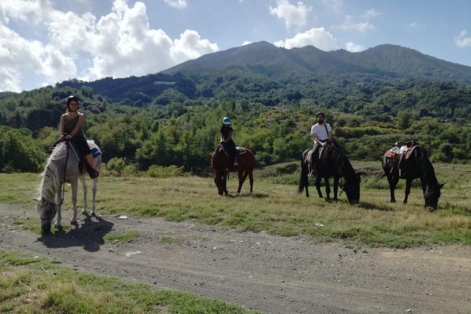 Horse Riding on Mount Vesuvius - Meeting Carlo and choosing the right horse