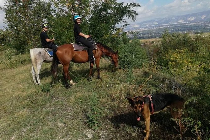 Horse Riding on Mount Vesuvius - Grooming, watering, and meeting the horses properly
