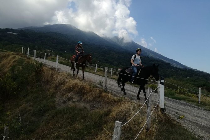 Horse Riding on Mount Vesuvius - Who will enjoy this most?