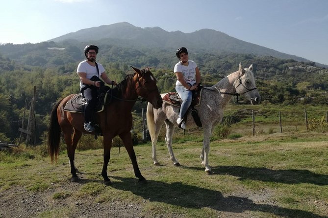 Horse Riding on Mount Vesuvius - Price, timing, and booking value