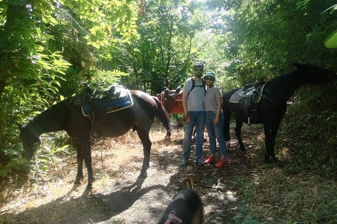 Horse Riding on Mount Vesuvius - One hour through the national park