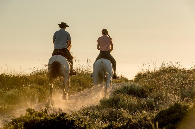 Horse Riding on the Beach - Key points before you book