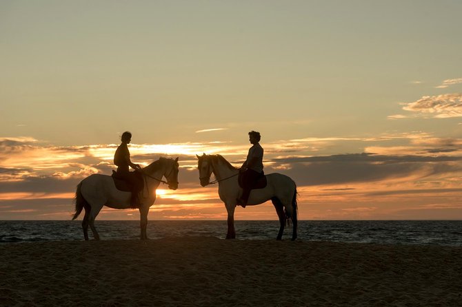 Horse Riding on the Beach - Passing Melides Lagoon and its birdlife