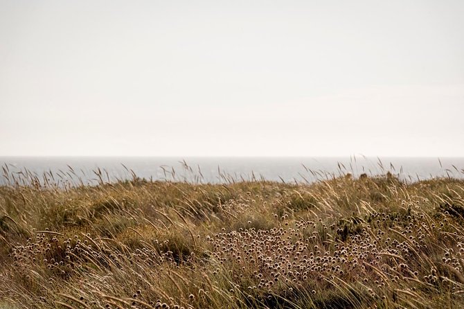 Horse Riding on the Beach - Is $98.84 per person good value?