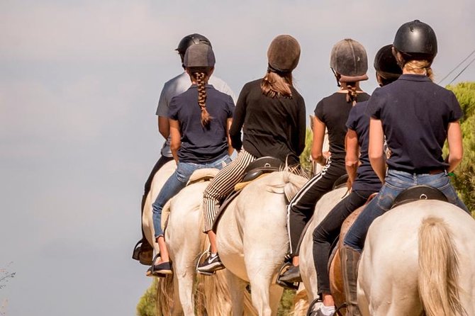 Horse Riding on the Beach - Timing, weather, and comfort