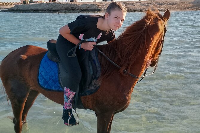 Horse Riding on the Beach And Desert 3 hours From Hurghada - Key points to know before booking
