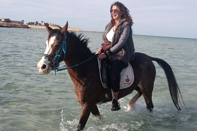Horse Riding on the Beach And Desert 3 hours From Hurghada - Meeting the horses and learning the basics