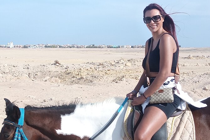 Horse Riding on the Beach And Desert 3 hours From Hurghada - Swimming with the horses