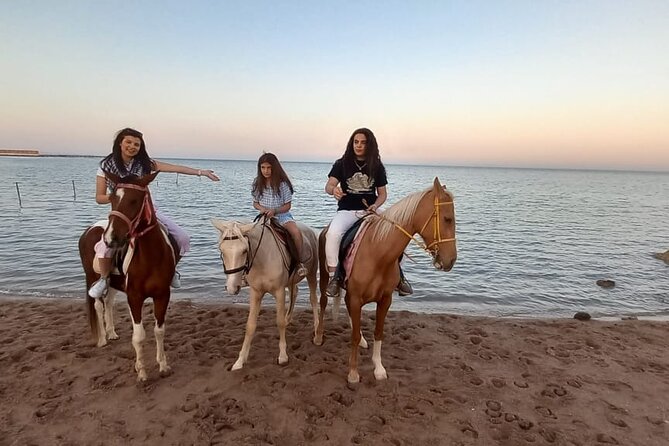 Horse Riding on the Beach And Desert 3 hours From Hurghada - The value of $23 per person