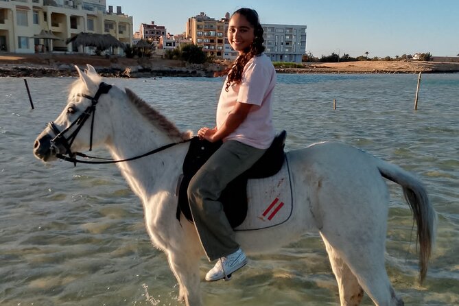 Horse Riding on the Beach And Desert 3 hours From Hurghada - Who will enjoy this ride most